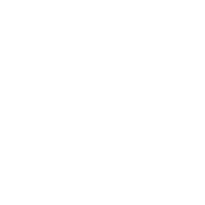 MaViE services